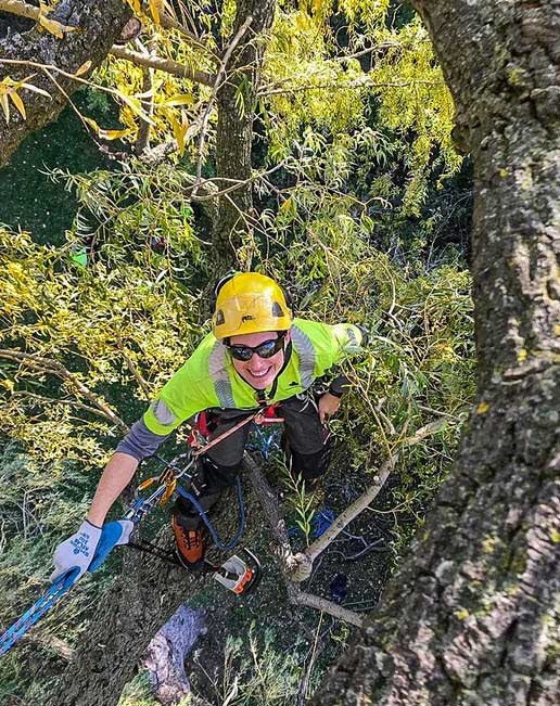 Maple Hill Tree Services