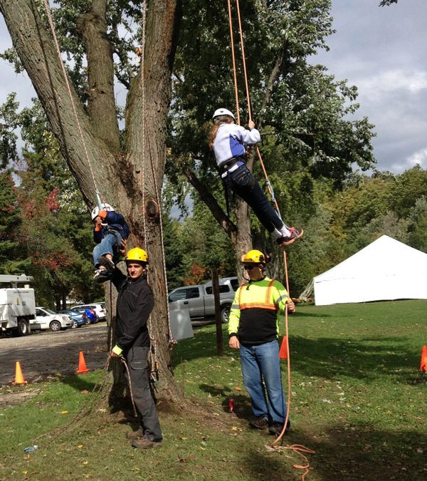 Community Services - Maple Hill Tree Services
