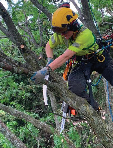 The Women of Maple Hill - Maple Hill Tree Services