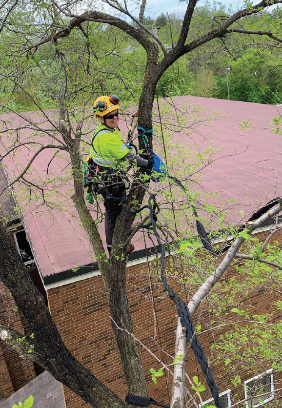 The Women of Maple Hill - Maple Hill Tree Services