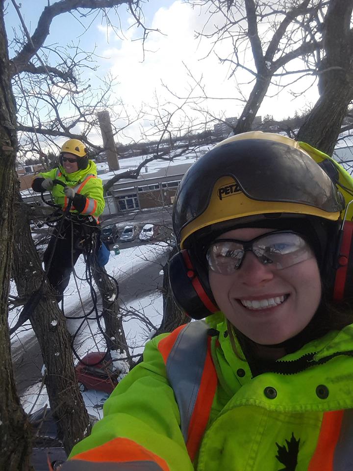 The Benefits of Winter Tree Pruning & Tree Removal