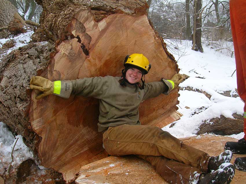 Winter Tree Pruning & Removal - Get a Free Site Visit - Maple Hill Tree ...
