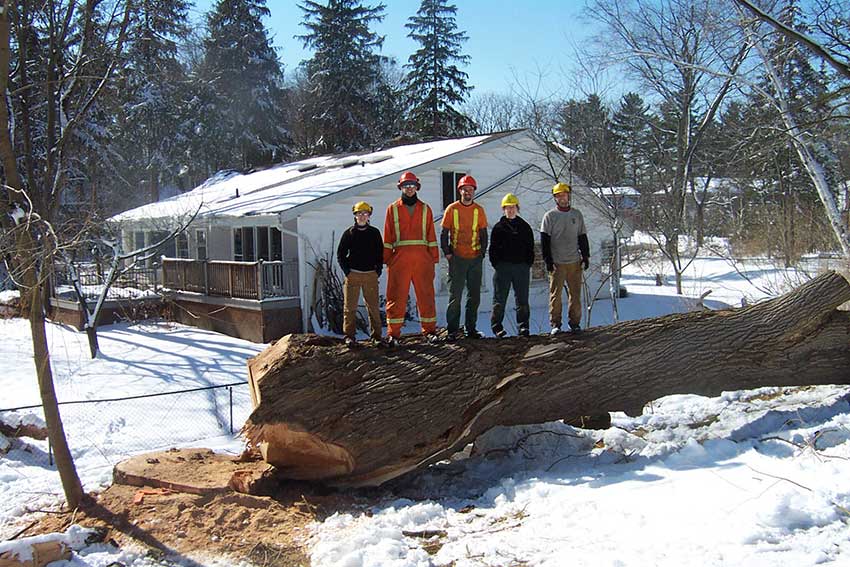 Winter Tree Pruning & Removal - Get a Free Site Visit - Maple Hill Tree ...