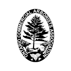 Maple Hill Tree Services