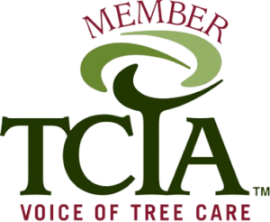 Maple Hill Tree Services