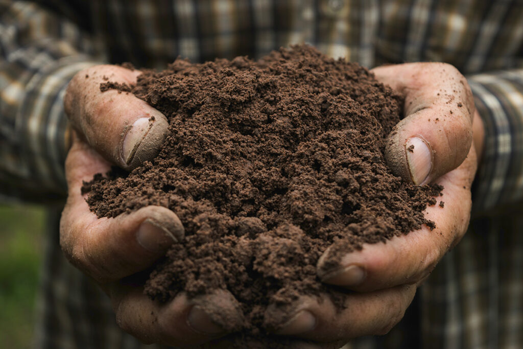 Person handling fresh, healthy, soil