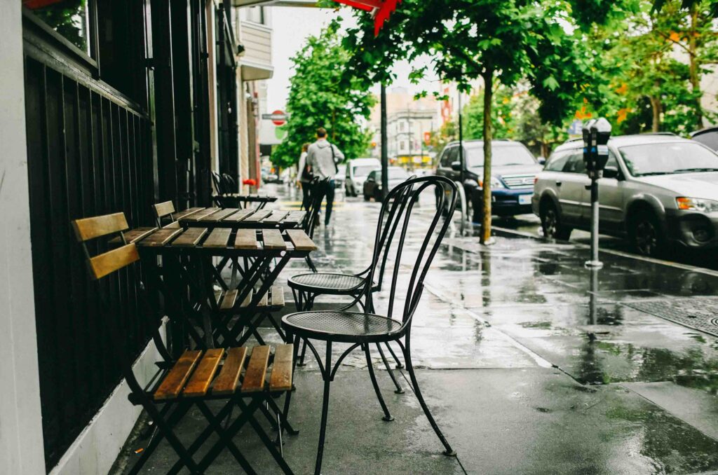 Trees on an urban street